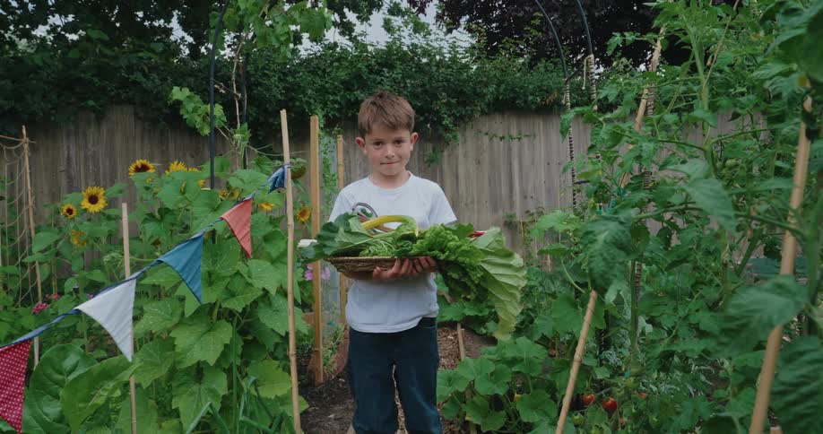 A boy stands in a lush garden cradling a large basket filled with freshly harvested vegetables surrounded by sunflowers tomato plants and leafy greens beneath strings of colorful triangular flags