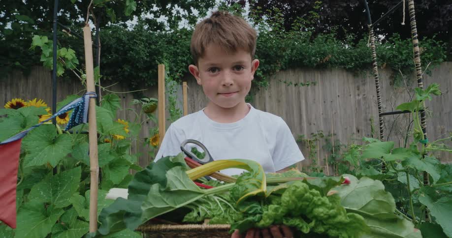 A young boy stands proudly in a garden holding a basket overflowing with freshly harvested green leafy vegetables and stalks