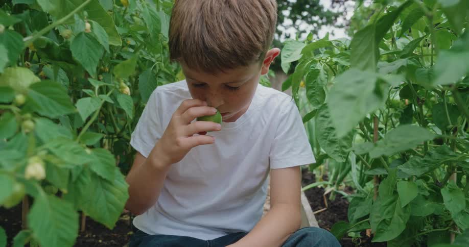Boy with white tshirt sitting in a plantation smelling vegetables