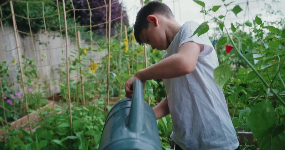 Young boy in a white tshirt is actively watering plants in a lush garden holding a green watering can