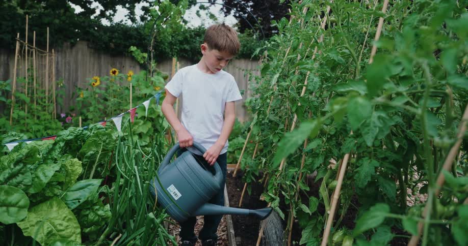 A young boy watering plants in a garden at midday
