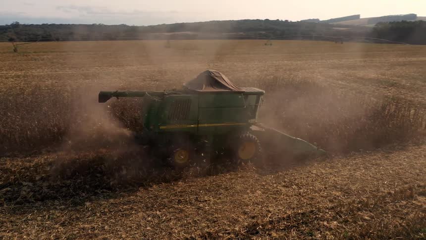 A green combine harvester moves through a golden field churning dust as it cuts crops