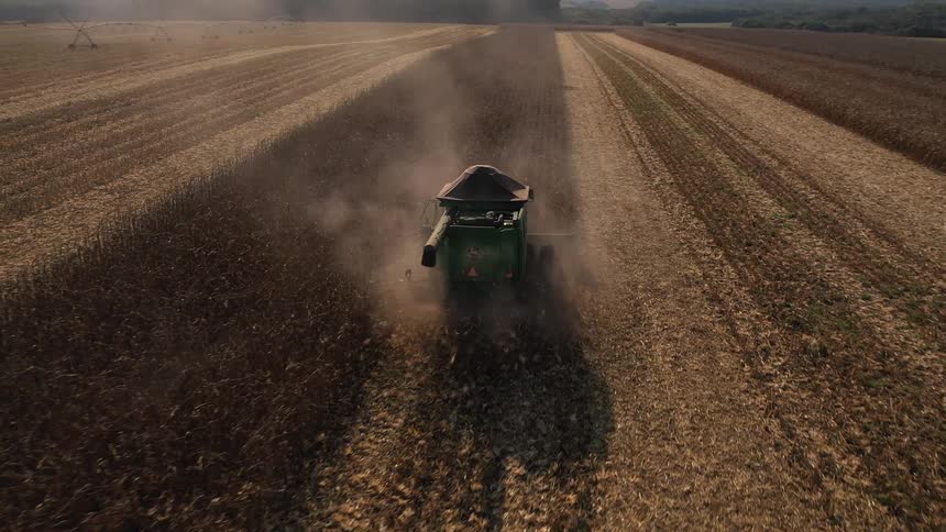 A combine harvester drives down the center of a crop field kicking up dust as it collects and fills its hopper with harvested grain
