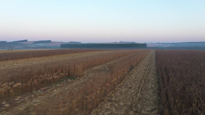 Partially harvested crops in a field near small hills
