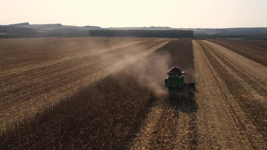 A combine harvester cuts through a vast goldenbrown field during harvest