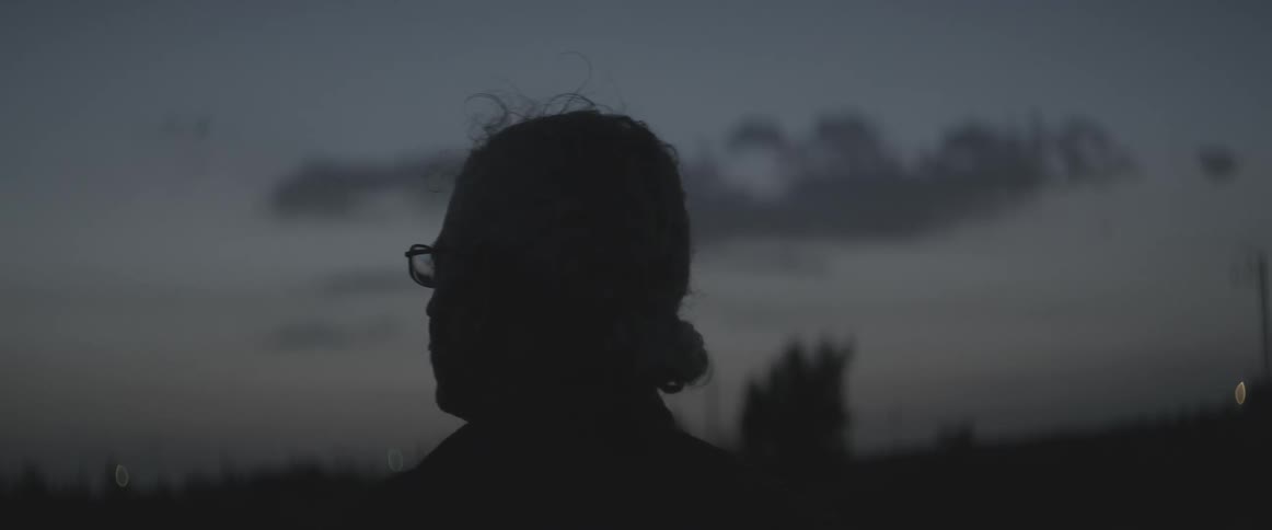 An elderly man stands atop a building in the evening