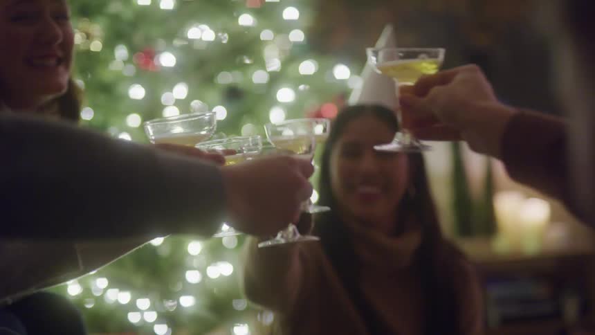 A group of friends are toasting with champagne glasses in a room with a decorated christmas tree