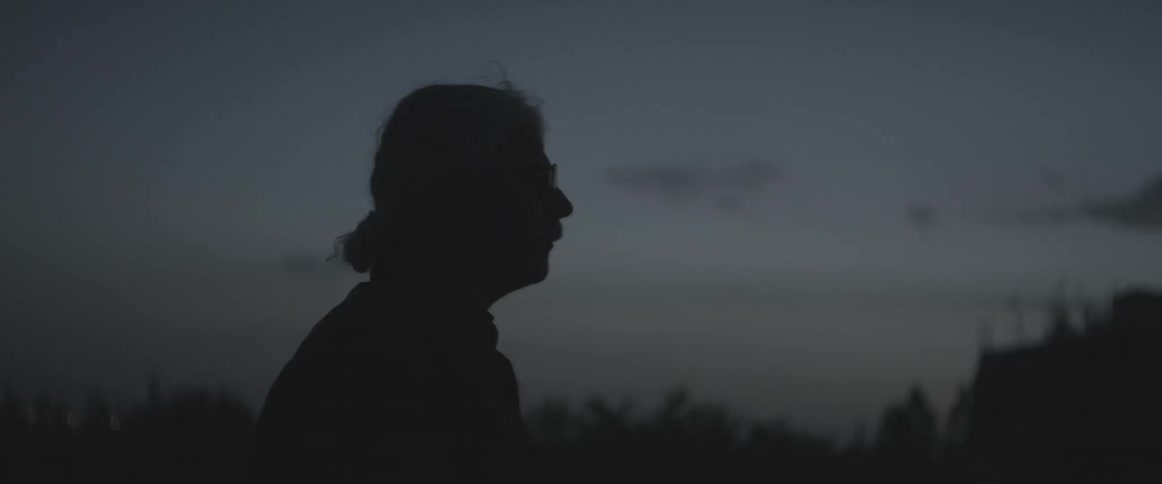 A man walks near a forest at dusk