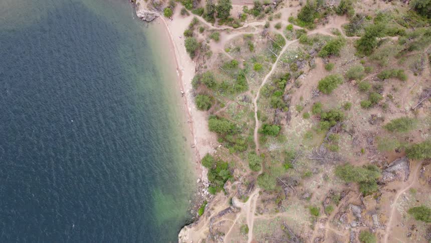 The bird flies over the island shore