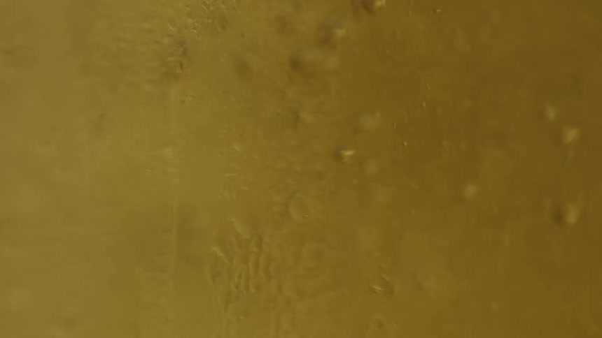 Light amber liquid fizzes in a textured glass