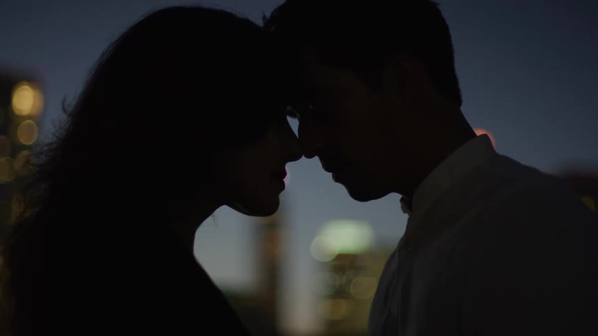 Silhouette of a man and a woman with their faces touching each other in an outdoor setting at night