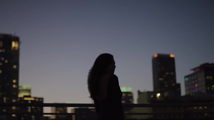 Silhouette of a woman has no trace of a building in a metropolis at night