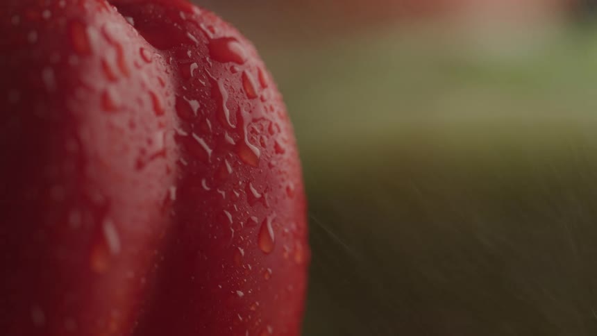 A vibrant red bell pepper covered in water droplets is shown in a tight close up with a blurred green background