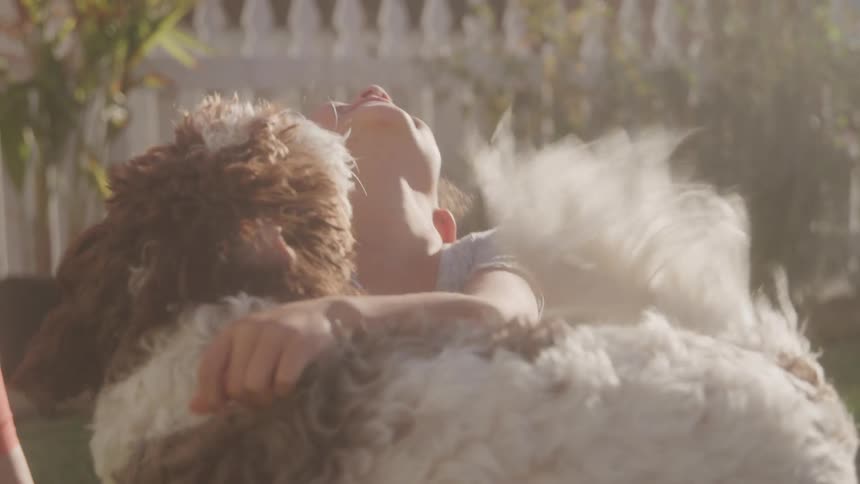 A young girl laughs joyfully while playing with a dog outdoors in warm sunlight