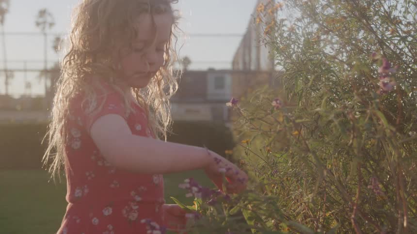 The video shows a young girl with curly blonde hair in a red patterned dress attentively picking flowers or leaves from a plant outdoors the sunlight illuminates her hair and a building is visible in the blurred background