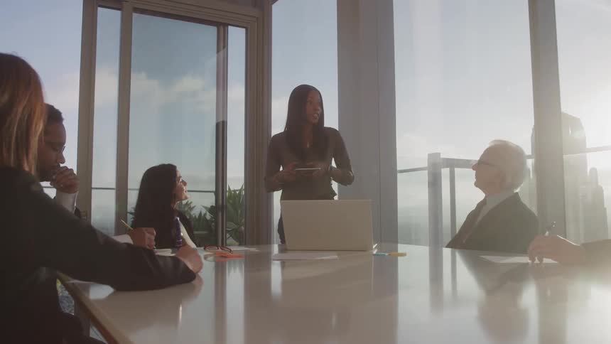 A woman leads a business meeting in a modern office