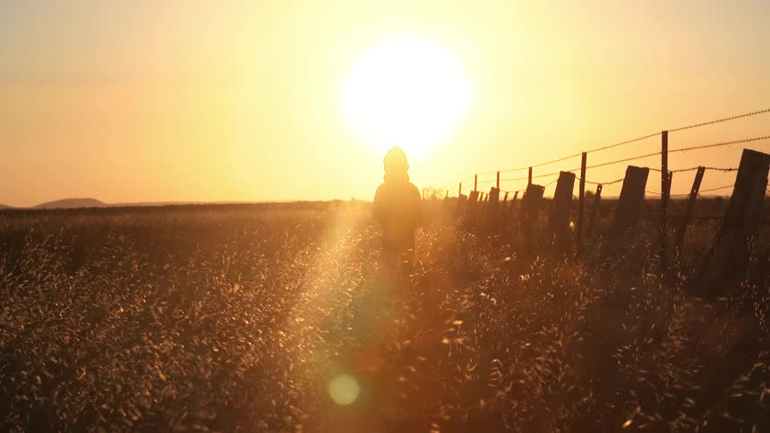 Child walks through a grassy field at sunset
