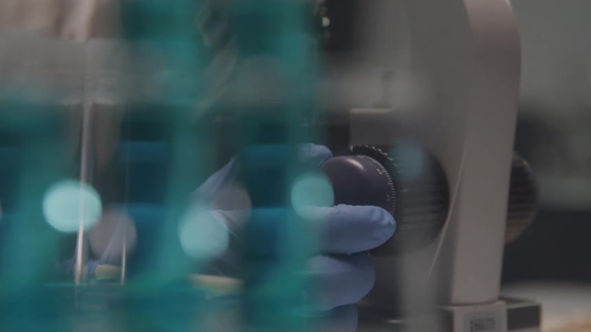 Person in a laboratory using a microscope