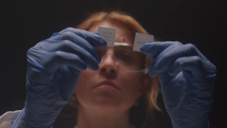 A female scientist examines microscope slides in a laboratory setting