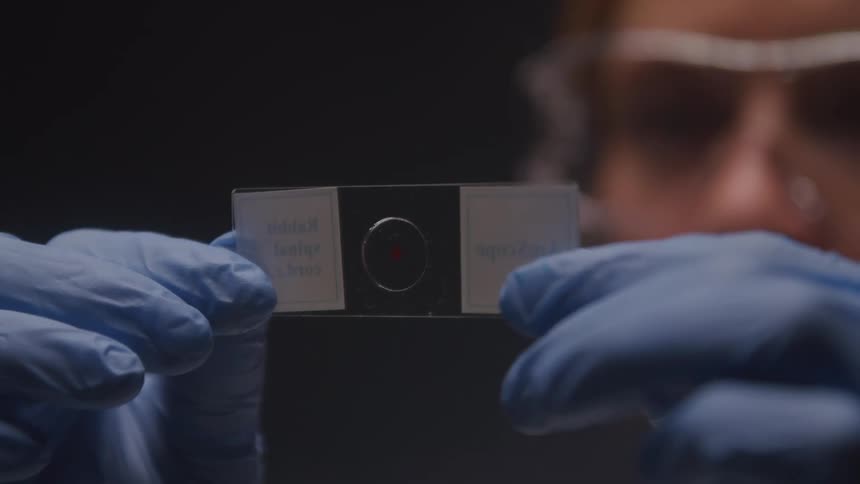 A person wearing blue gloves holds a clear microscope slide with a black rectangle in the center looking intently at it with glasses on against a dark out of focus background