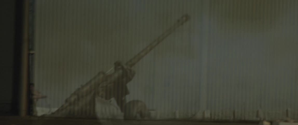 An army cannon is shot into the air