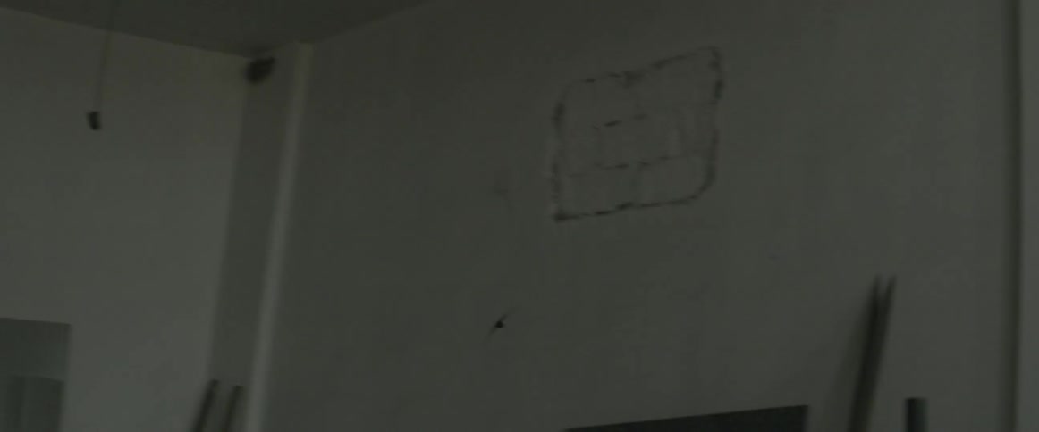 A bird flies inside a room