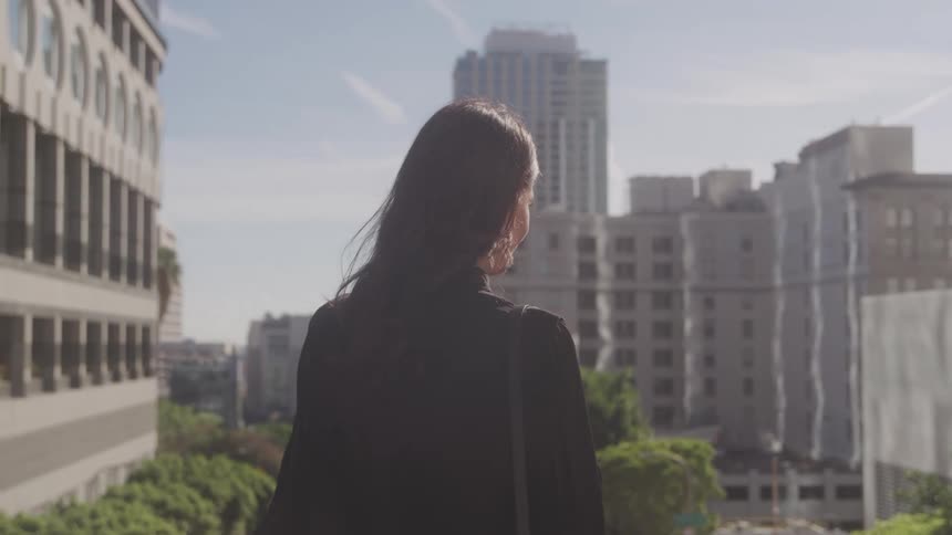 A woman stands overlooking a cityscape on a sunny day
