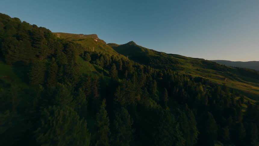 Greenish mountains with conifers against a blue sky