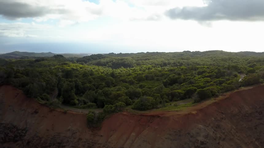 Trees and grasses grow right up to the edge of a cliff