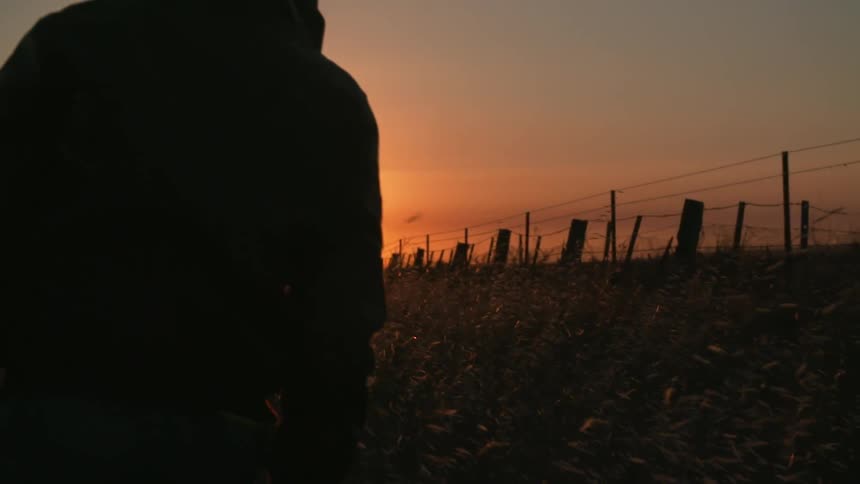 Silhouette of a person in a field at sunset