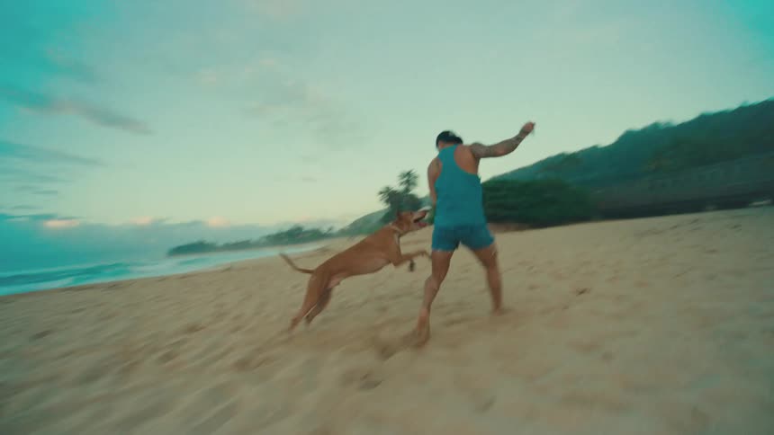 A playful dog joyfully bounds across a wide sandy beach with two individuals in the background set against the backdrop of an expansive ocean under a soft twilight sky