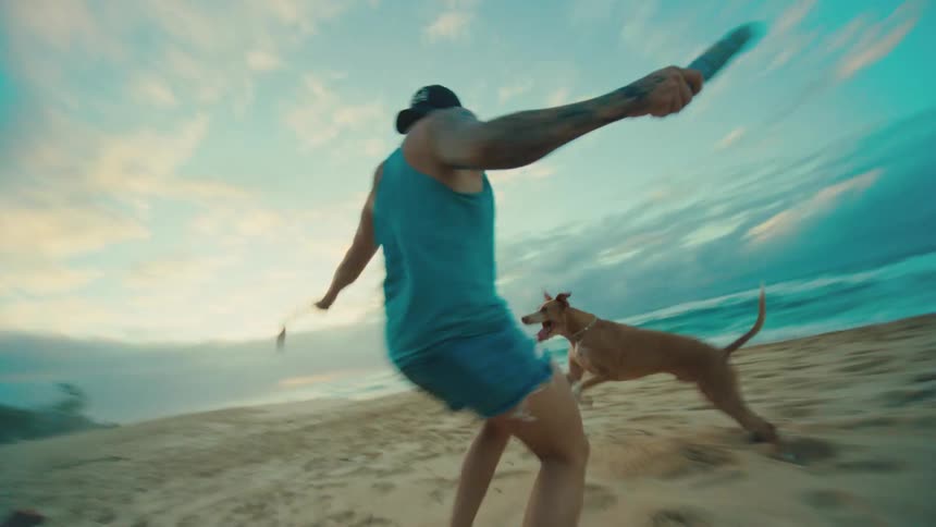 A man and his dog run around the beach playing