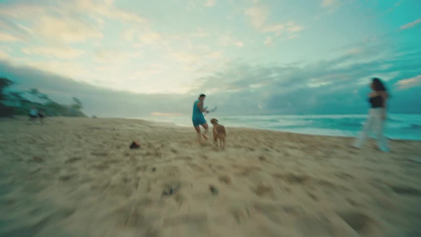 A man runs on a sandy beach playing with a brown dog along the shore under a cloudy sky