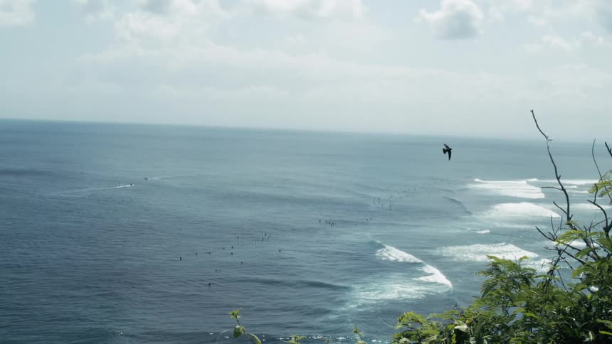 A bird flies over the open sea and rises higher into the sky