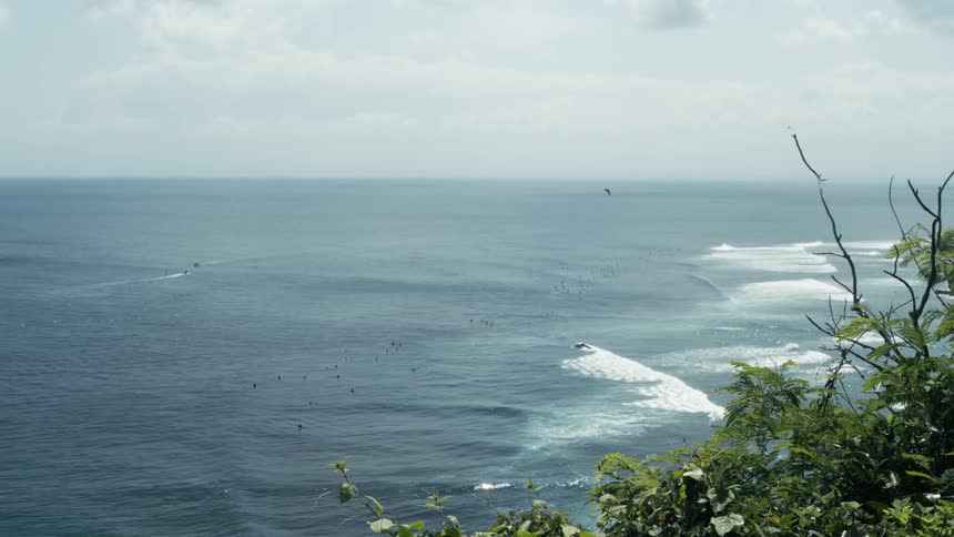 Ocean landscape with birds flying near the shore
