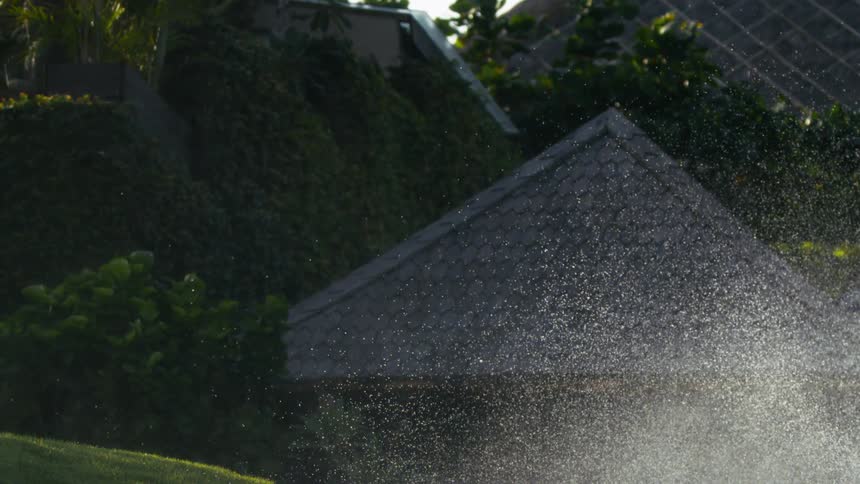 Water is being sprayed in the yard