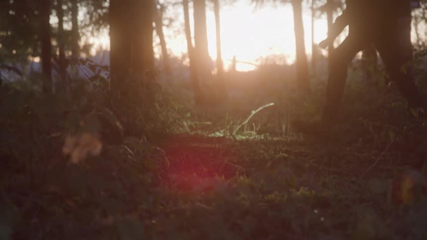 Man walking with a flashlight in a forest in the late afternoon