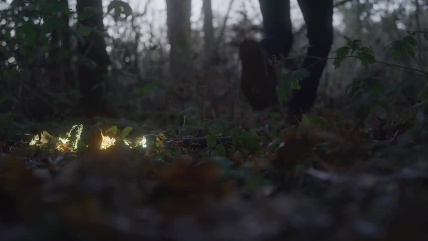 Lantern falls to the ground and a person runs through the forest