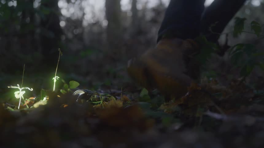 Person dropping a flashlight in the forest and runs away