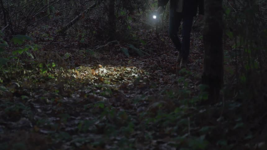 A person walks through a dark forest holding a flashlight that illuminates patches of the leaf covered ground and the surrounding trees