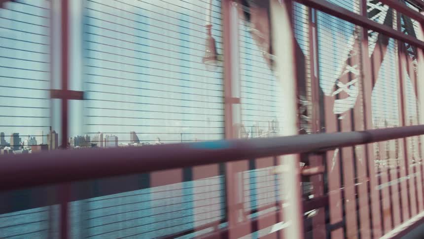 A view through a mesh fence on a bridge captures glimpses of a river and distant city skyline framed by steel beams