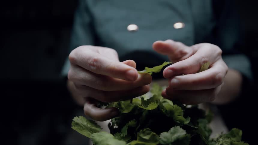A close view shows a chefs hands carefully picking green leaves from a bunch of herbs likely cilantro while wearing a green double breasted chefs jacket