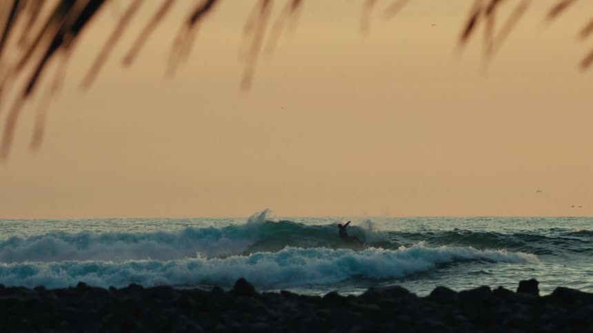 A lone surfer rides a wave at sunset framed by dark rocks and silhouetted palm leaves against a glowing orange horizon