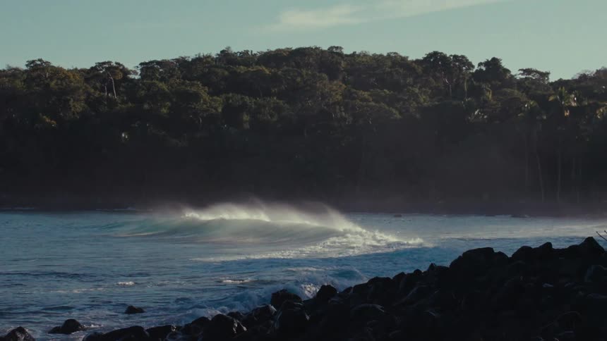 Landscape of a wave in a sea on the beach with the wooded coast in the background