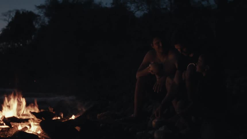 A group of young people are gathered around a burning campfire their faces and bodies dimly lit by the flickering flames against a dark night sky and a backdrop of trees