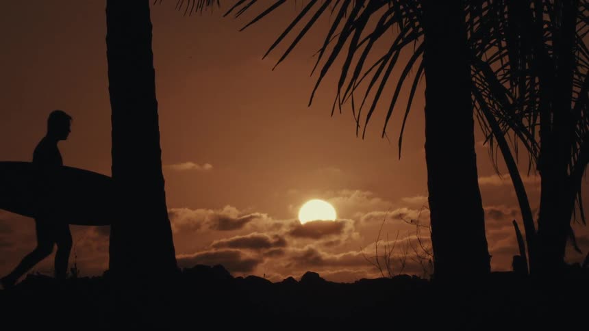 The man carries his surfboard past the trees at sunset