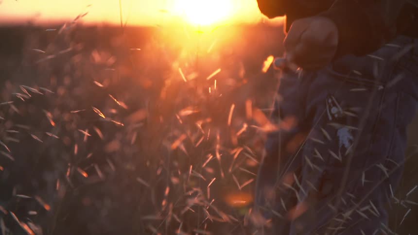 A person pulling blades of grass