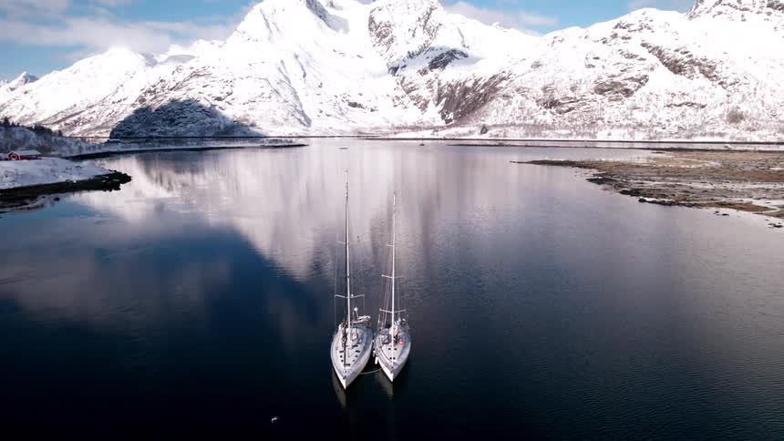 The bird flies over the boat in the lake