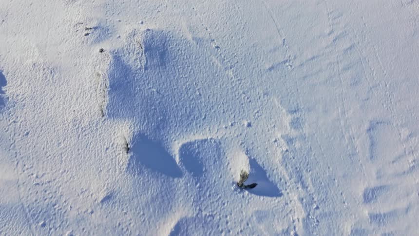 The video shows a closeup aerial view of a snowcovered mountain slope marked by a scattering of dark jagged rocks that protrude from the white landscape as the camera slowly moves the texture and undulations of the snow become more apparent