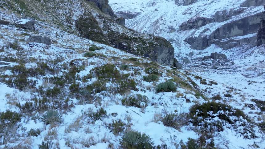 Aerial view of sparse vegetation on snowcapped mountains
